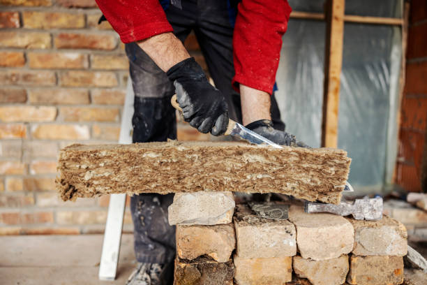 Best Local Insulation Services  in Radcliff, KY
